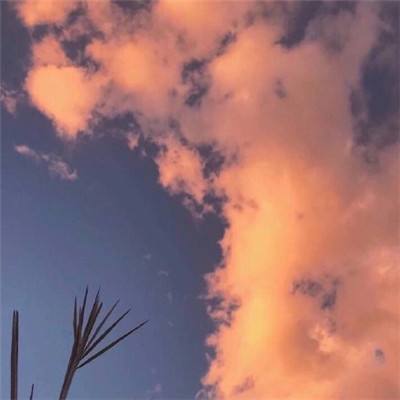 爸爸去哪儿全明星手游九游版下载