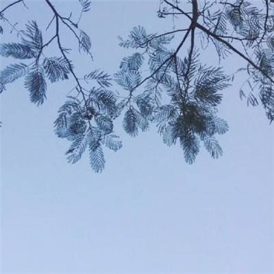 我的勇者bt版下载